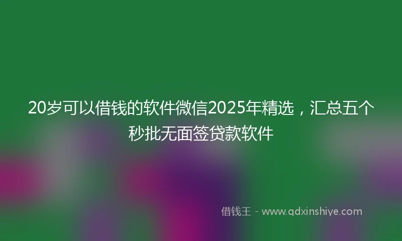 20岁可以借钱的软件微信2025年精选，汇总五个秒批无面签贷款软件