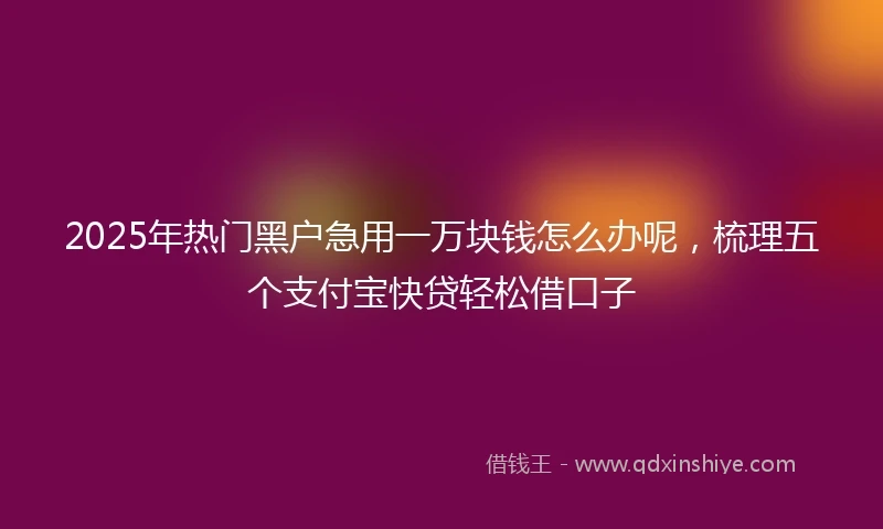 2025年热门黑户急用一万块钱怎么办呢，梳理五个支付宝快贷轻松借口子