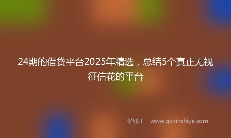 24期的借贷平台2025年精选，总结5个真正无视征信花的平台