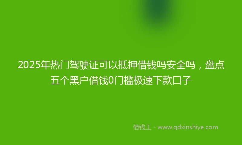 2025年热门驾驶证可以抵押借钱吗安全吗，盘点五个黑户借钱0门槛极速下款口子