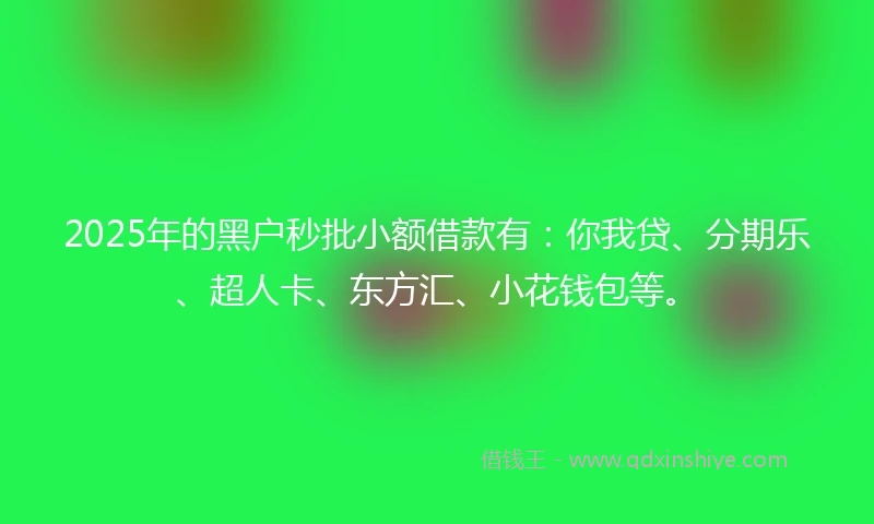 2025年的黑户秒批小额借款有：你我贷、分期乐、超人卡、东方汇、小花钱包等。