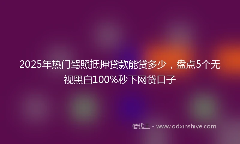 2025年热门驾照抵押贷款能贷多少,盘点5个无视黑白100%秒下网贷口子