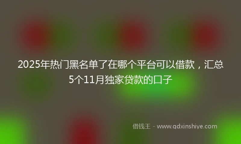 2025年热门黑名单了在哪个平台可以借款，汇总5个11月独家贷款的口子