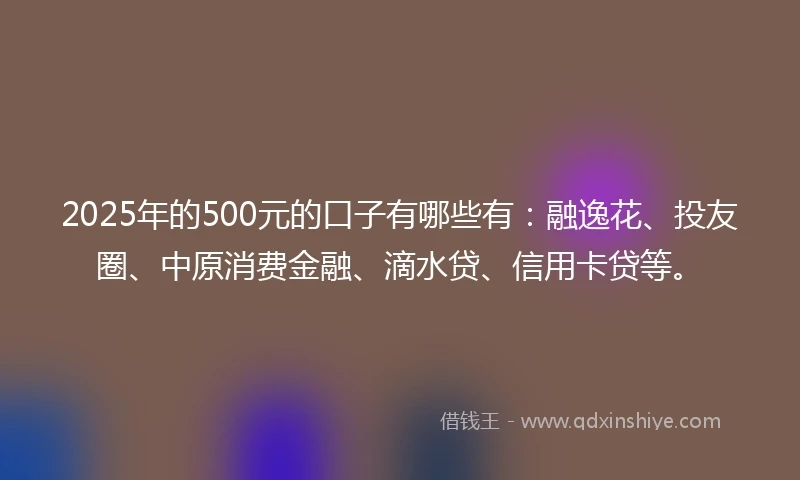 2025年的500元的口子有哪些有：融逸花、投友圈、中原消费金融、滴水贷、信用卡贷等。