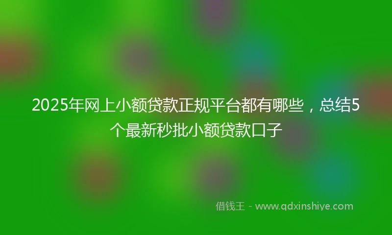 2025年网上小额贷款正规平台都有哪些，总结5个最新秒批小额贷款口子