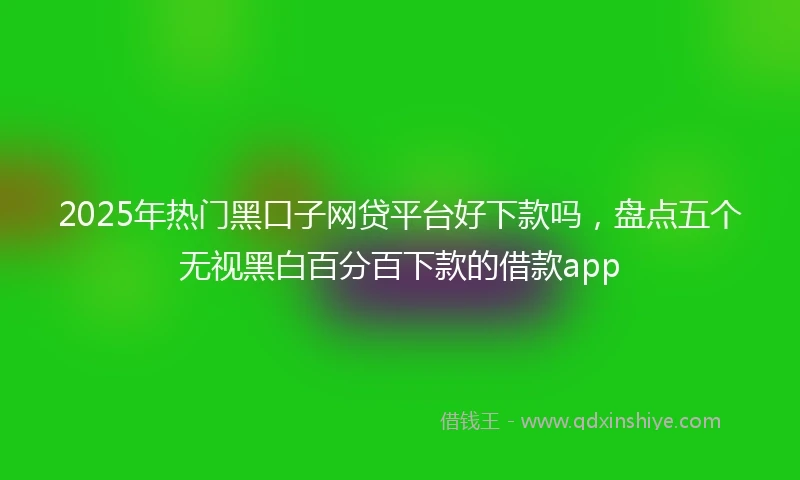 2025年热门黑口子网贷平台好下款吗，盘点五个无视黑白百分百下款的借款app