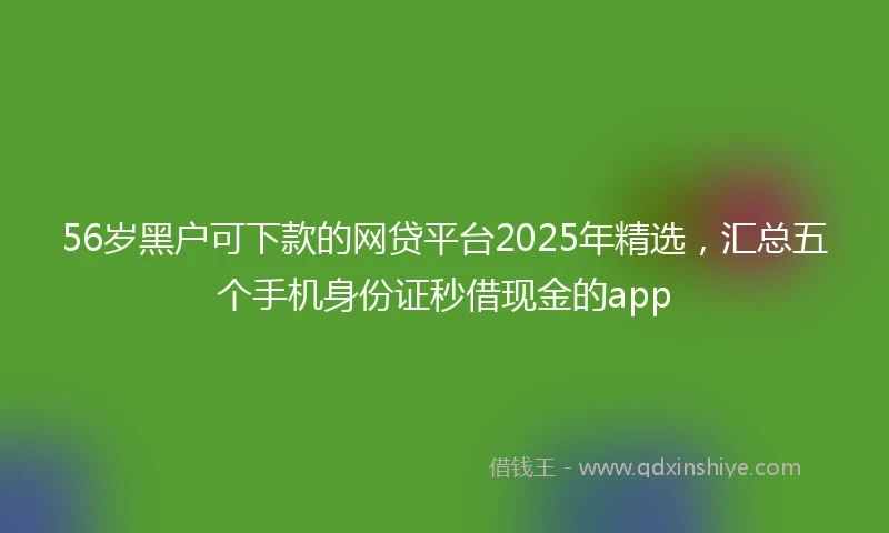 56岁黑户可下款的网贷平台2025年精选，汇总五个手机身份证秒借现金的app