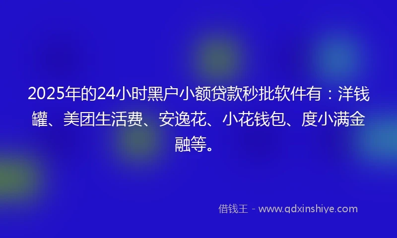 2025年的24小时黑户小额贷款秒批软件有：洋钱罐、美团生活费、安逸花、小花钱包、度小满金融等。