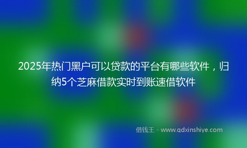 2025年热门黑户可以贷款的平台有哪些软件，归纳5个芝麻借款实时到账速借软件