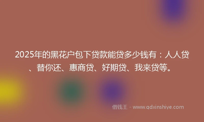 2025年的黑花户包下贷款能贷多少钱有：人人贷、替你还、惠商贷、好期贷、我来贷等。