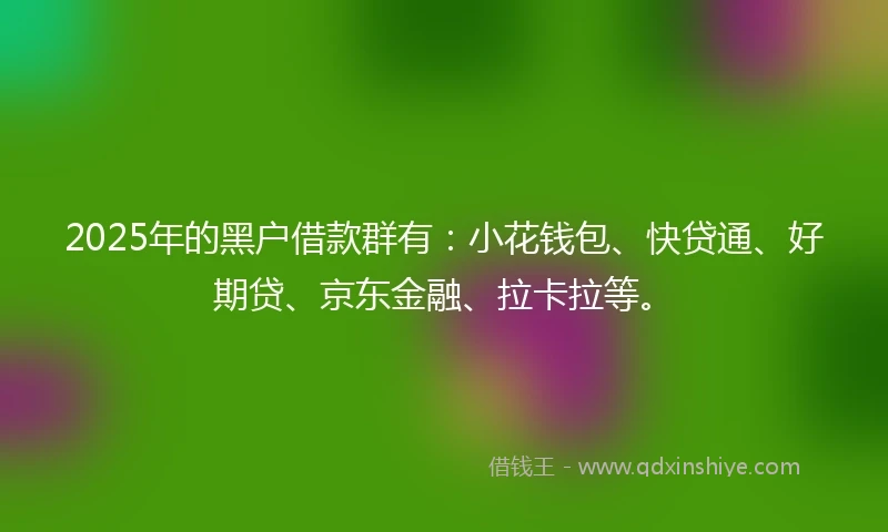 2025年的黑户借款群有：小花钱包、快贷通、好期贷、京东金融、拉卡拉等。
