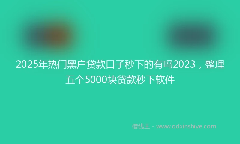 2025年热门黑户贷款口子秒下的有吗2023，整理五个5000块贷款秒下软件