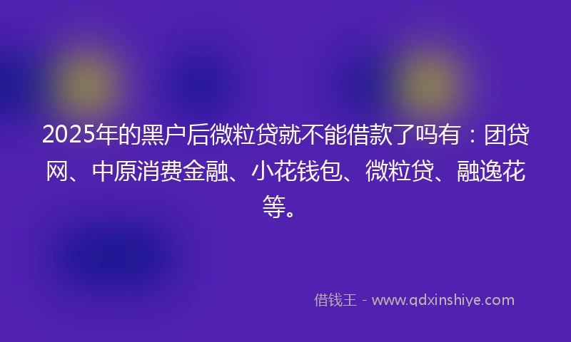 2025年的黑户后微粒贷就不能借款了吗有：团贷网、中原消费金融、小花钱包、微粒贷、融逸花等。