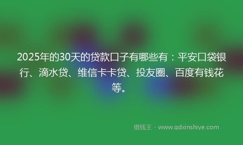 2025年的30天的贷款口子有哪些有：平安口袋银行、滴水贷、维信卡卡贷、投友圈、百度有钱花等。