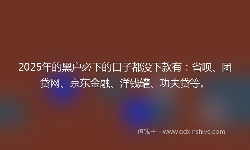 2025年的黑户必下的口子都没下款有：省呗、团贷网、京东金融、洋钱罐、功夫贷等。