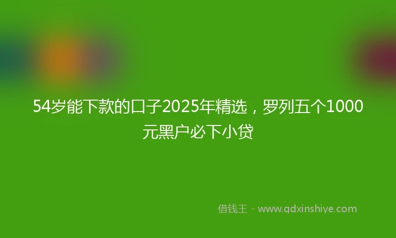 54岁能下款的口子2025年精选，罗列五个1000元黑户必下小贷