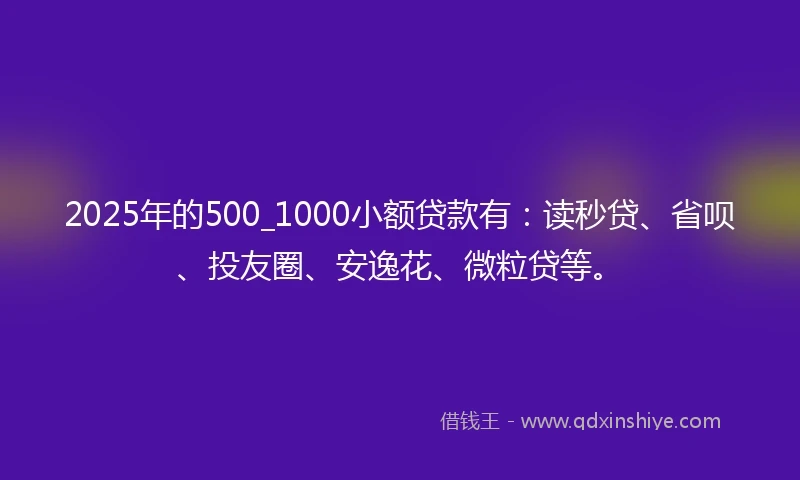 2025年的500_1000小额贷款有：读秒贷、省呗、投友圈、安逸花、微粒贷等。