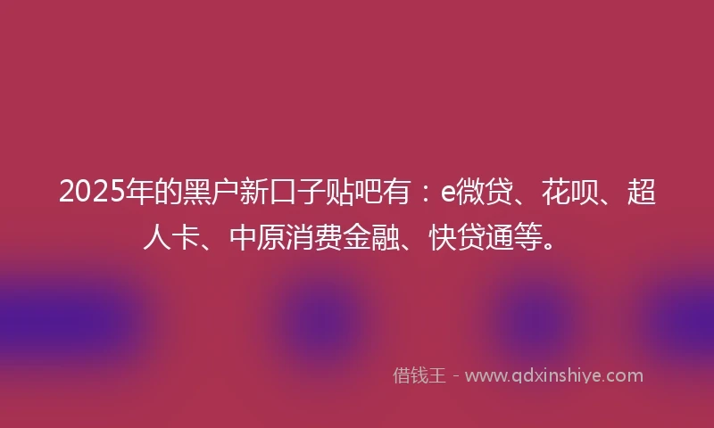2025年的黑户新口子贴吧有：e微贷、花呗、超人卡、中原消费金融、快贷通等。