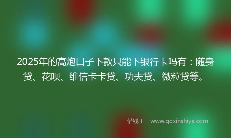 2025年的高炮口子下款只能下银行卡吗有：随身贷、花呗、维信卡卡贷、功夫贷、微粒贷等。