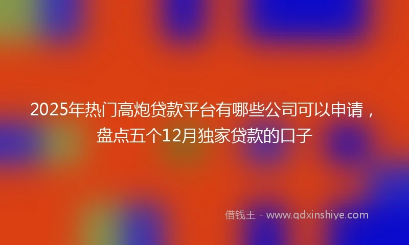 2025年热门高炮贷款平台有哪些公司可以申请，盘点五个12月独家贷款的口子