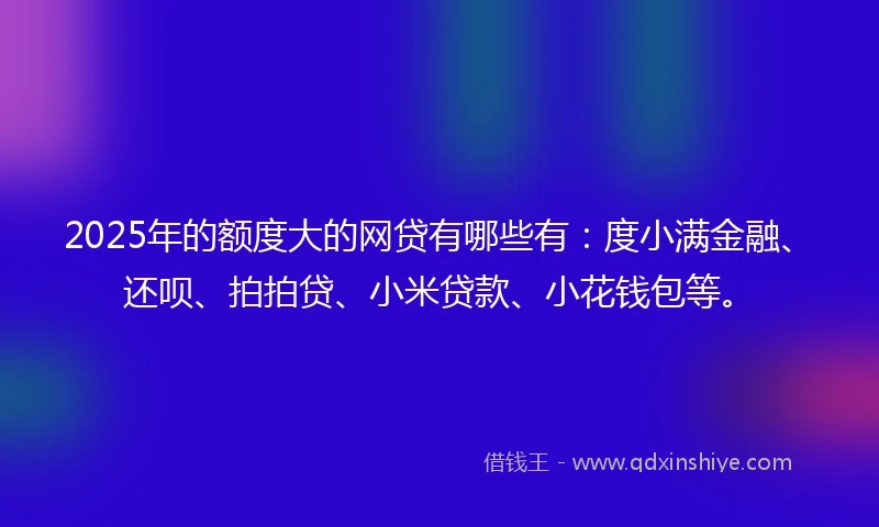 2025年的额度大的网贷有哪些有：度小满金融、还呗、拍拍贷、小米贷款、小花钱包等。