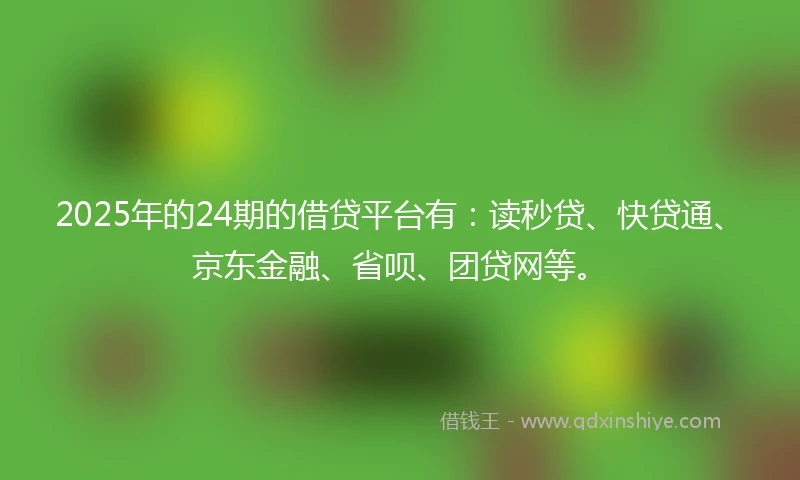 2025年的24期的借贷平台有：读秒贷、快贷通、京东金融、省呗、团贷网等。
