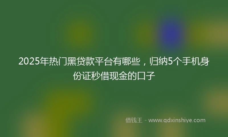2025年热门黑贷款平台有哪些，归纳5个手机身份证秒借现金的口子