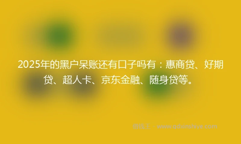 2025年的黑户呆账还有口子吗有：惠商贷、好期贷、超人卡、京东金融、随身贷等。
