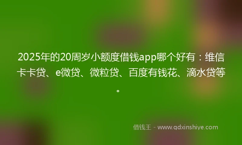 2025年的20周岁小额度借钱app哪个好有：维信卡卡贷、e微贷、微粒贷、百度有钱花、滴水贷等。