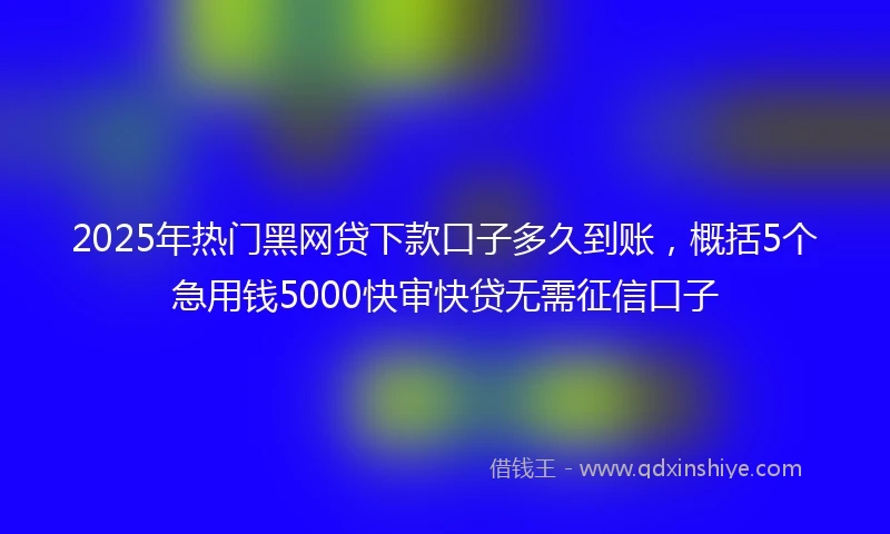 2025年热门黑网贷下款口子多久到账，概括5个急用钱5000快审快贷无需征信口子