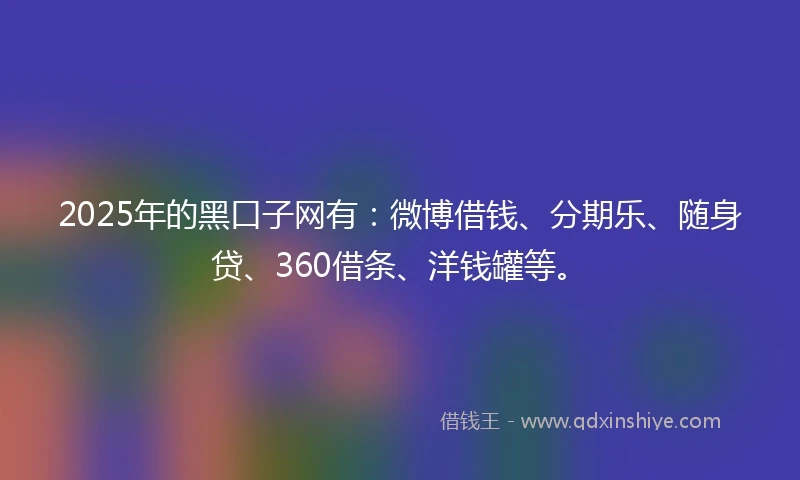 2025年的黑口子网有：微博借钱、分期乐、随身贷、360借条、洋钱罐等。