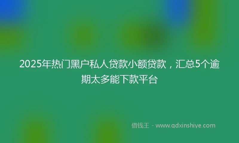 2025年热门黑户私人贷款小额贷款，汇总5个逾期太多能下款平台