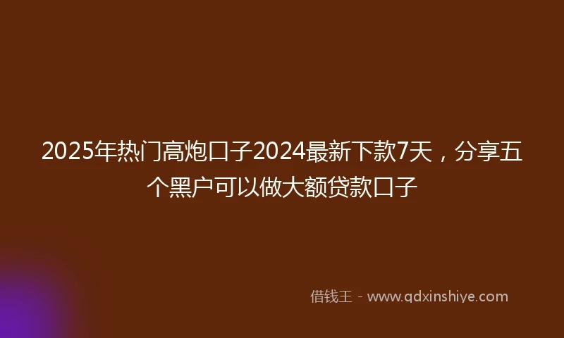 2025年热门高炮口子2024最新下款7天，分享五个黑户可以做大额贷款口子