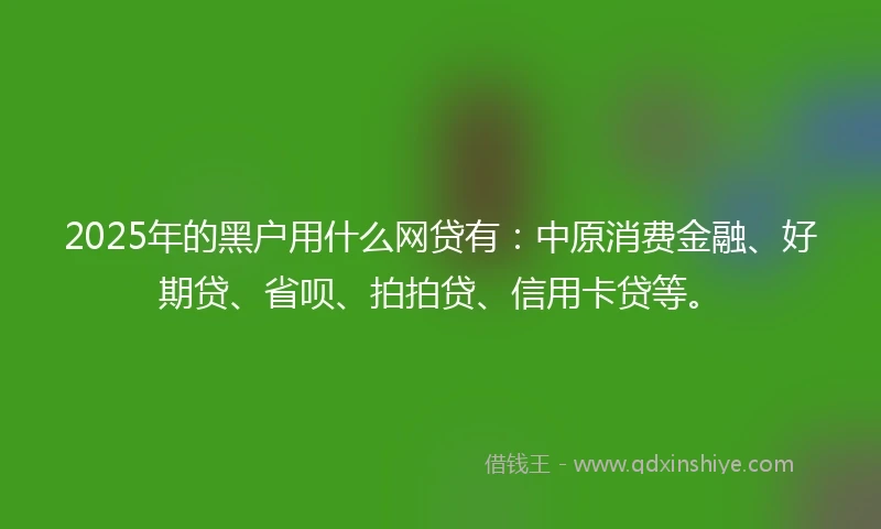 2025年的黑户用什么网贷有：中原消费金融、好期贷、省呗、拍拍贷、信用卡贷等。