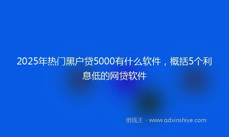 2025年热门黑户贷5000有什么软件，概括5个利息低的网贷软件