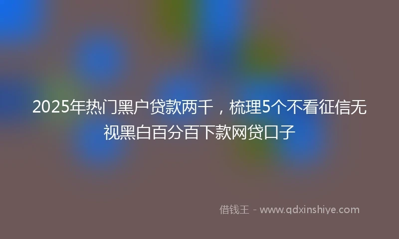 2025年热门黑户贷款两千，梳理5个不看征信无视黑白百分百下款网贷口子