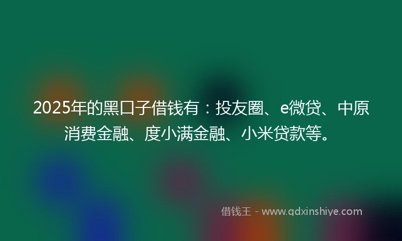 2025年的黑口子借钱有：投友圈、e微贷、中原消费金融、度小满金融、小米贷款等。