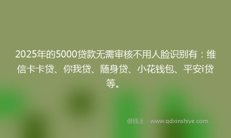 2025年的5000贷款无需审核不用人脸识别有：维信卡卡贷、你我贷、随身贷、小花钱包、平安i贷等。