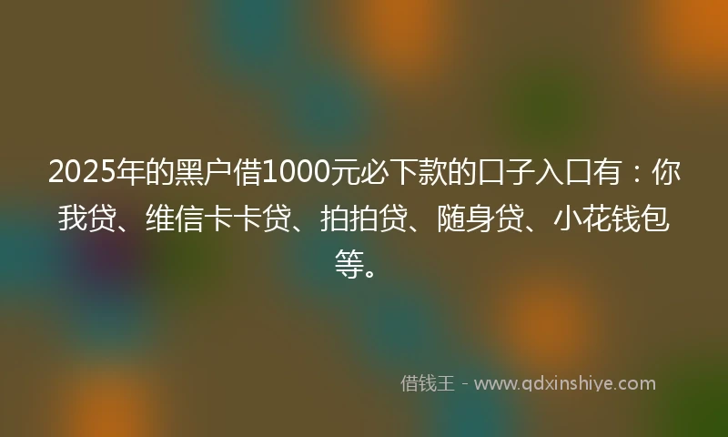 2025年的黑户借1000元必下款的口子入口有：你我贷、维信卡卡贷、拍拍贷、随身贷、小花钱包等。