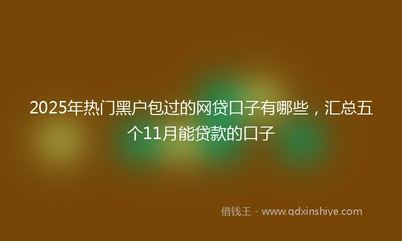 2025年热门黑户包过的网贷口子有哪些，汇总五个11月能贷款的口子