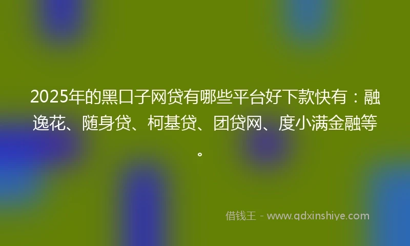 2025年的黑口子网贷有哪些平台好下款快有：融逸花、随身贷、柯基贷、团贷网、度小满金融等。
