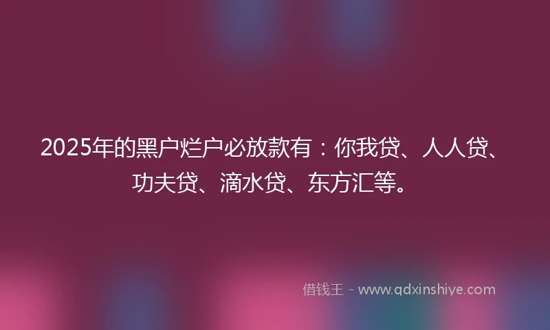 2025年的黑户烂户必放款有：你我贷、人人贷、功夫贷、滴水贷、东方汇等。