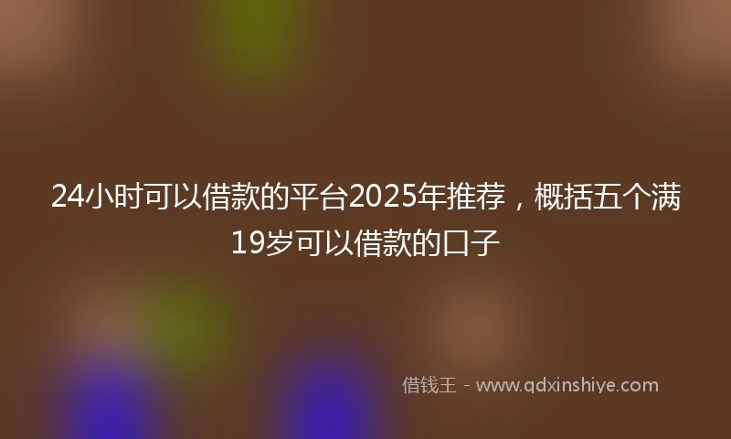 24小时可以借款的平台2025年推荐，概括五个满19岁可以借款的口子