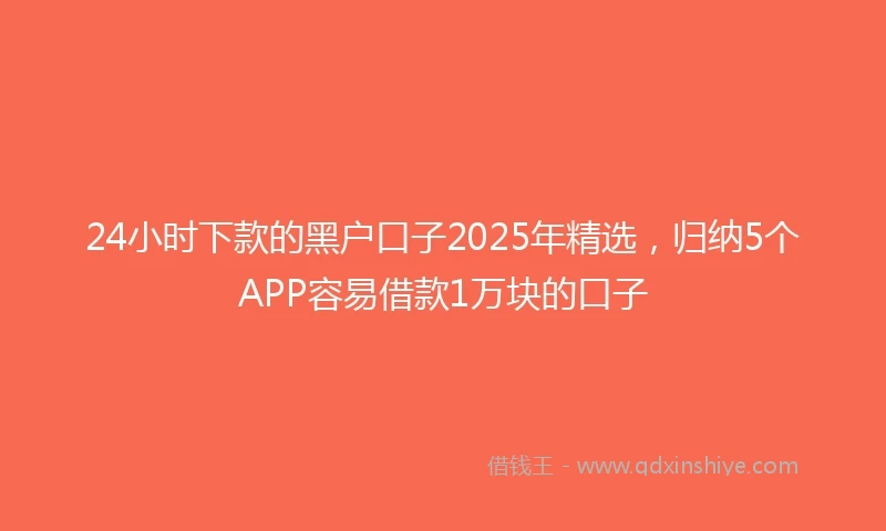 24小时下款的黑户口子2025年精选，归纳5个APP容易借款1万块的口子
