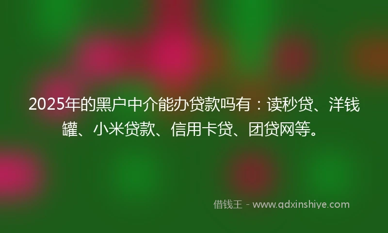 2025年的黑户中介能办贷款吗有：读秒贷、洋钱罐、小米贷款、信用卡贷、团贷网等。