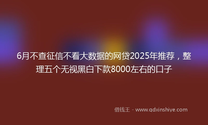 6月不查征信不看大数据的网贷2025年推荐，整理五个无视黑白下款8000左右的口子
