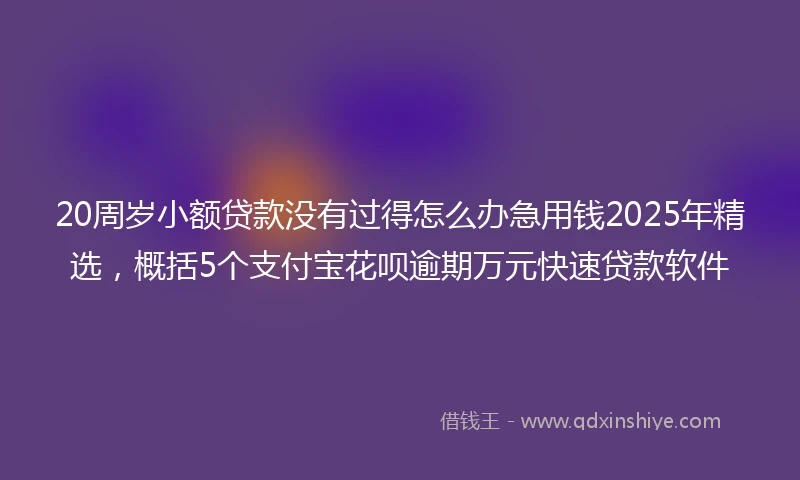 20周岁小额贷款没有过得怎么办急用钱2025年精选，概括5个支付宝花呗逾期万元快速贷款软件
