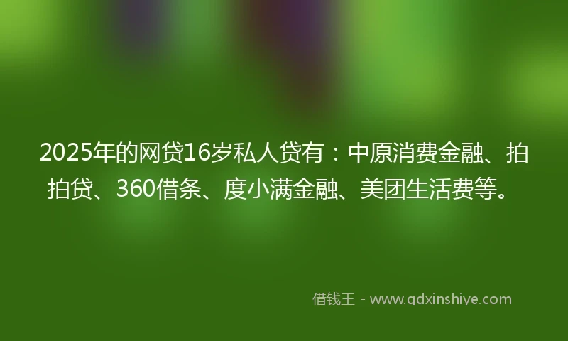2025年的网贷16岁私人贷有：中原消费金融、拍拍贷、360借条、度小满金融、美团生活费等。