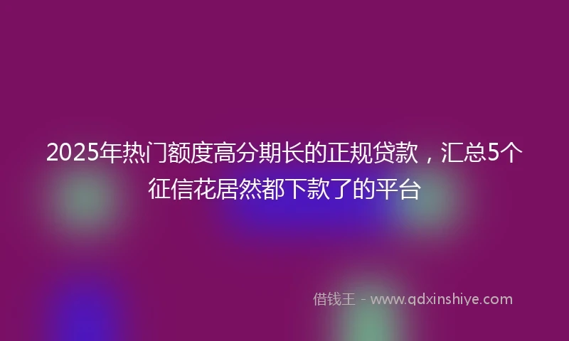 2025年热门额度高分期长的正规贷款，汇总5个征信花居然都下款了的平台