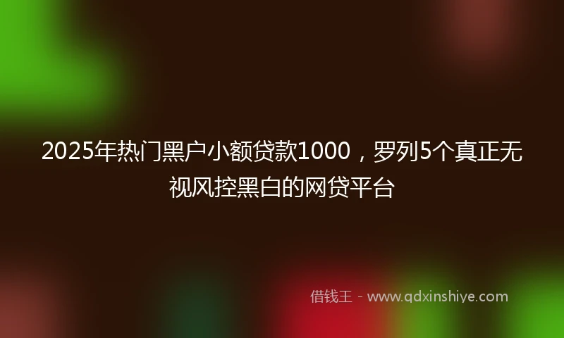 2025年热门黑户小额贷款1000，罗列5个真正无视风控黑白的网贷平台